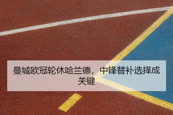 man-cheng-ou-guan-lun-xiu-ha-lan-de-zhong-feng-ti-bu-xuan-ze-cheng-guan-jian-2-257.jpg